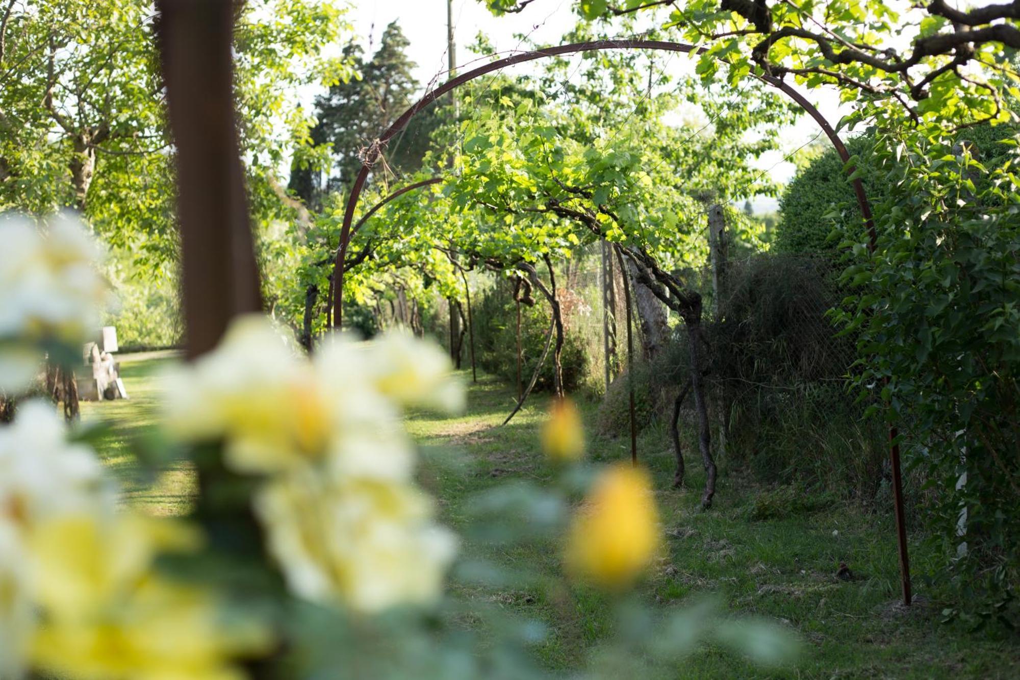 Villa Campo Di Fiore Αρέτσο Εξωτερικό φωτογραφία