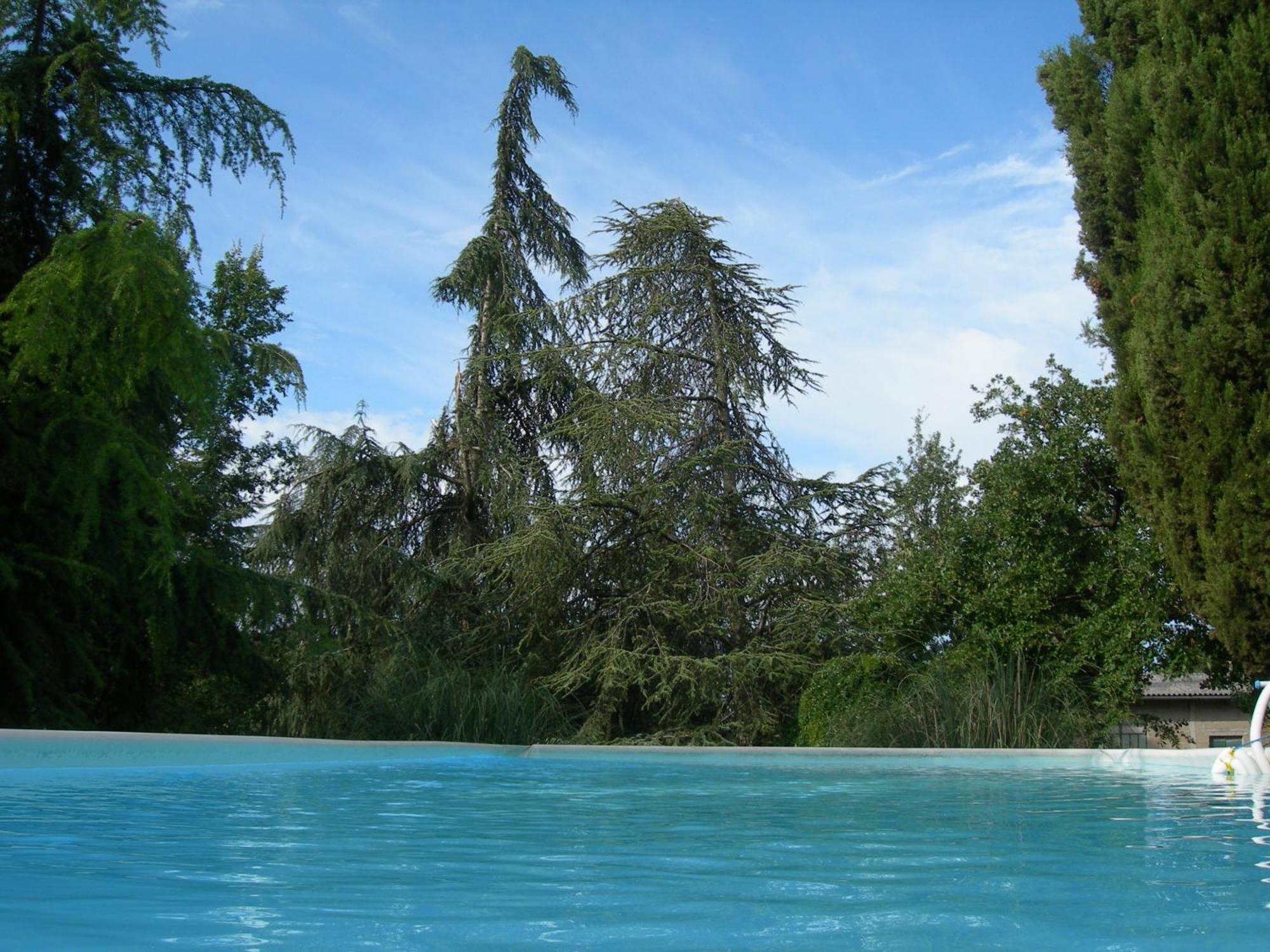 Villa Campo Di Fiore Αρέτσο Εξωτερικό φωτογραφία